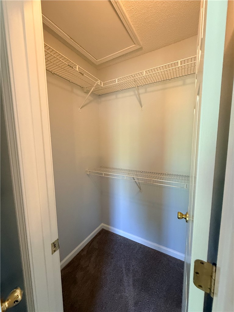 613 Brock Street Central, SC 29630 - Photo 15 of 28 This spacious closet offers convenient wire shelving, providing ample storage solutions for your wardrobe.
