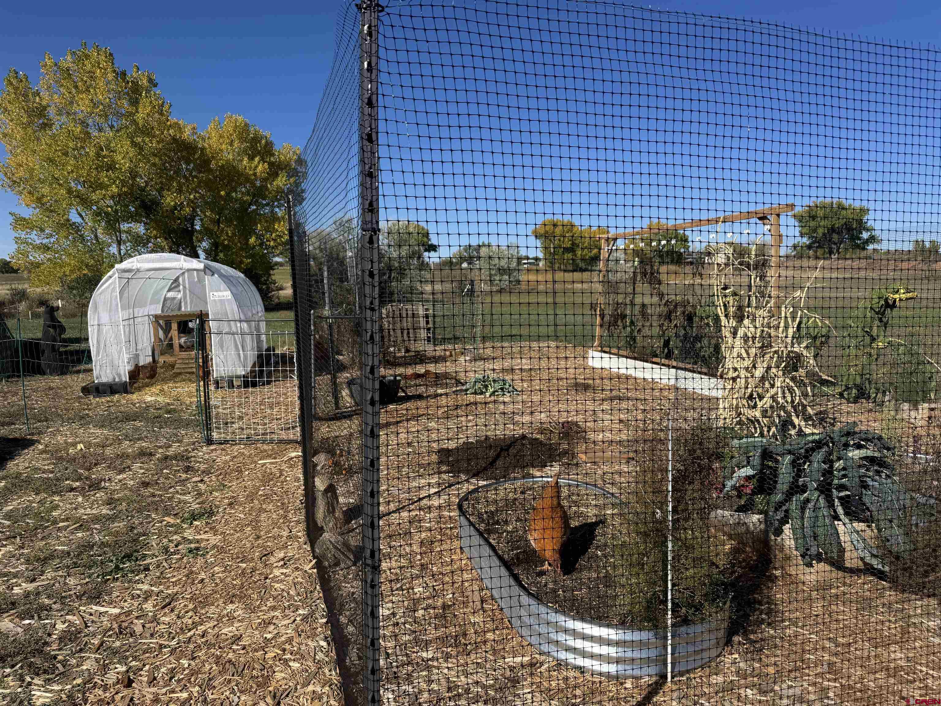 12773 Road 25 Cortez, CO 81321 - Photo 32 of 34