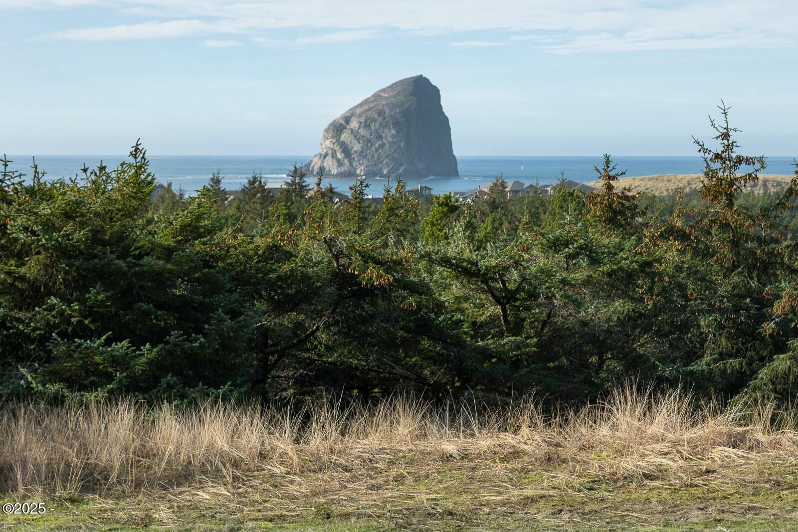 Lot 50 Nestucca Ridge Road Pacific City, OR 97135 - Photo 9 of 10 a view of a lake