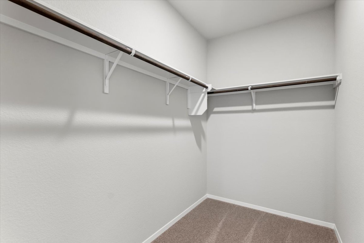 13300 Riding Drive Manor, TX 78653 - Photo 19 of 38 Walk in closet with carpet floors