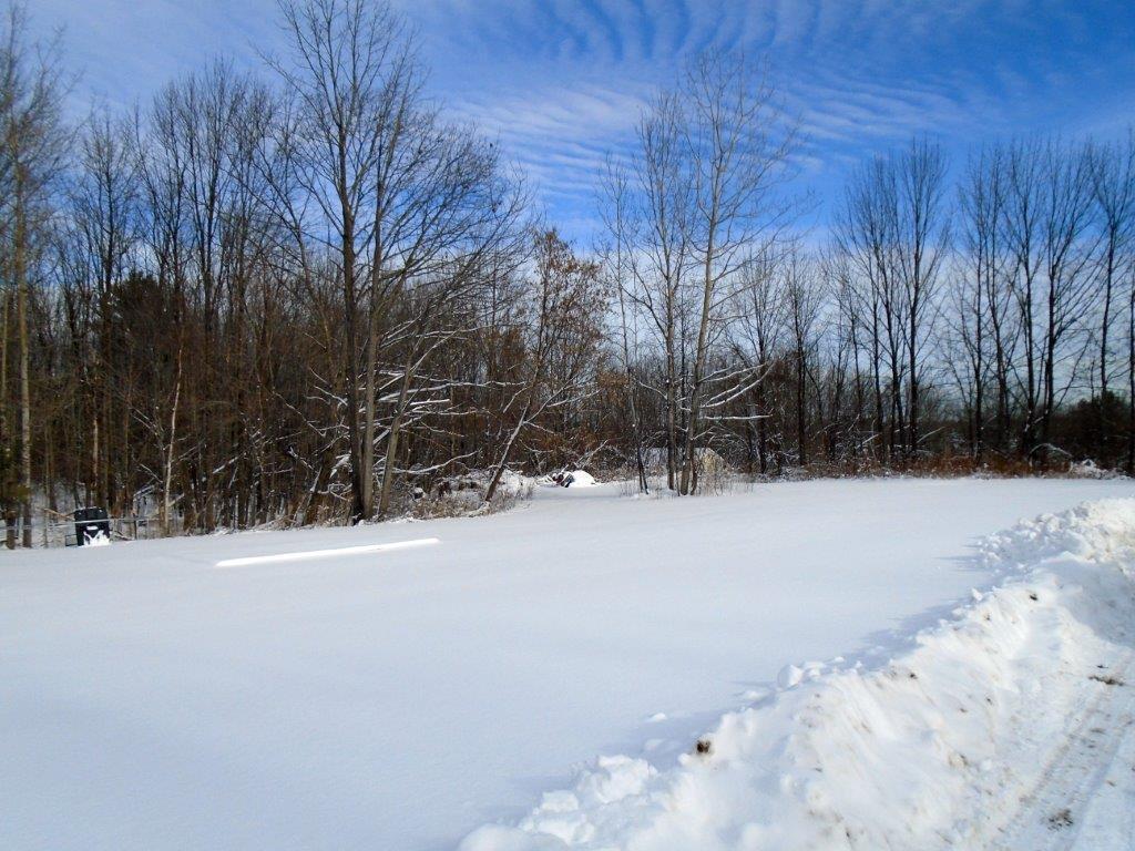 112 Green Road Fairfield, ME 04937 - Photo 21 of 24 Back Yard