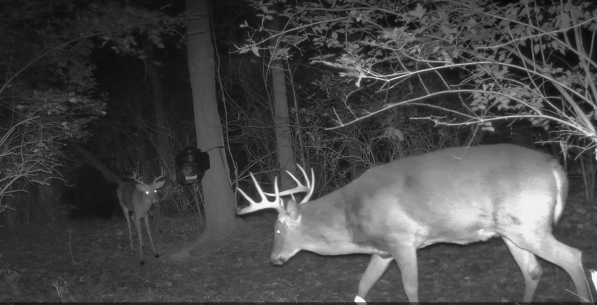 10590 Riddles Run Road Union, KY 41091 - Photo 43 of 45 Gallery Image 43