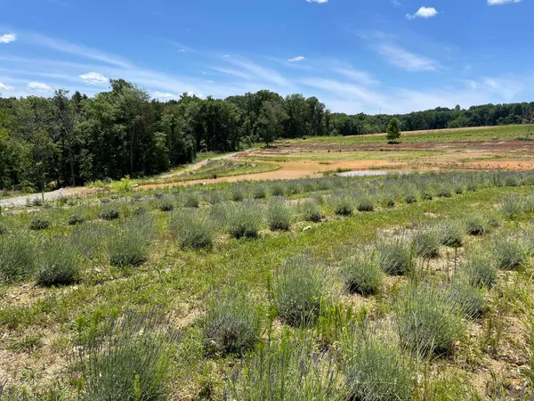 $1,500,000 | 353 County Road 170, Athens, TN 37303