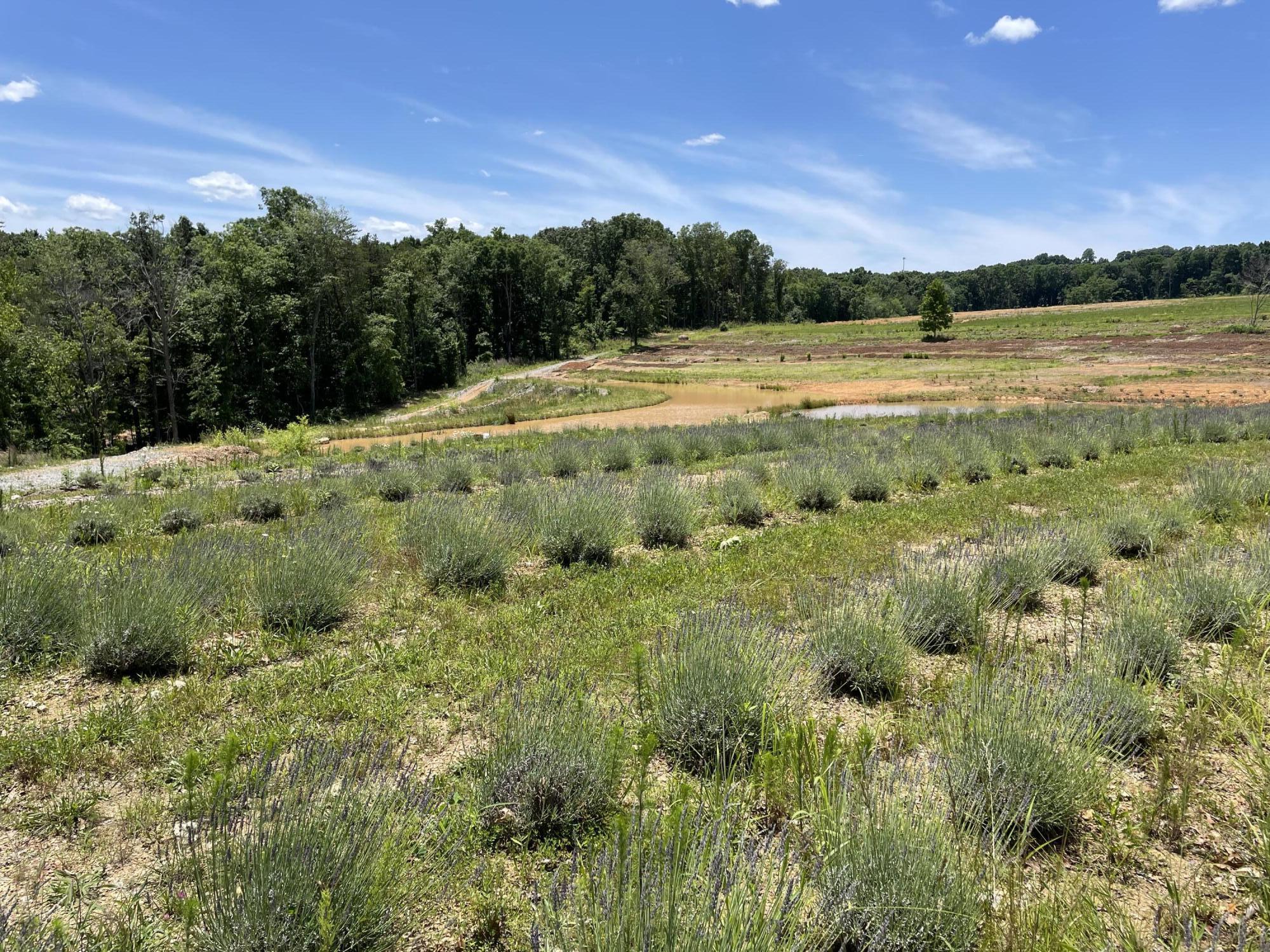 353 County Road 170 Athens, TN 37303 - Photo 1 of 10 IMG_3780