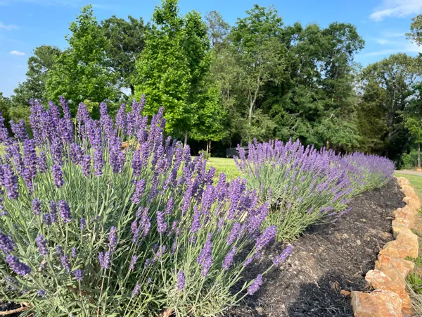 $1,500,000 | 353 County Road 170, Athens, TN 37303