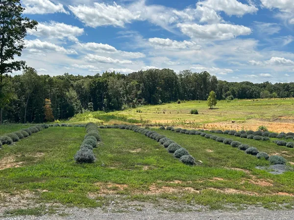 $1,500,000 | 353 County Road 170, Athens, TN 37303