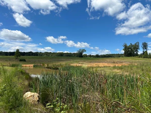 $1,500,000 | 353 County Road 170, Athens, TN 37303