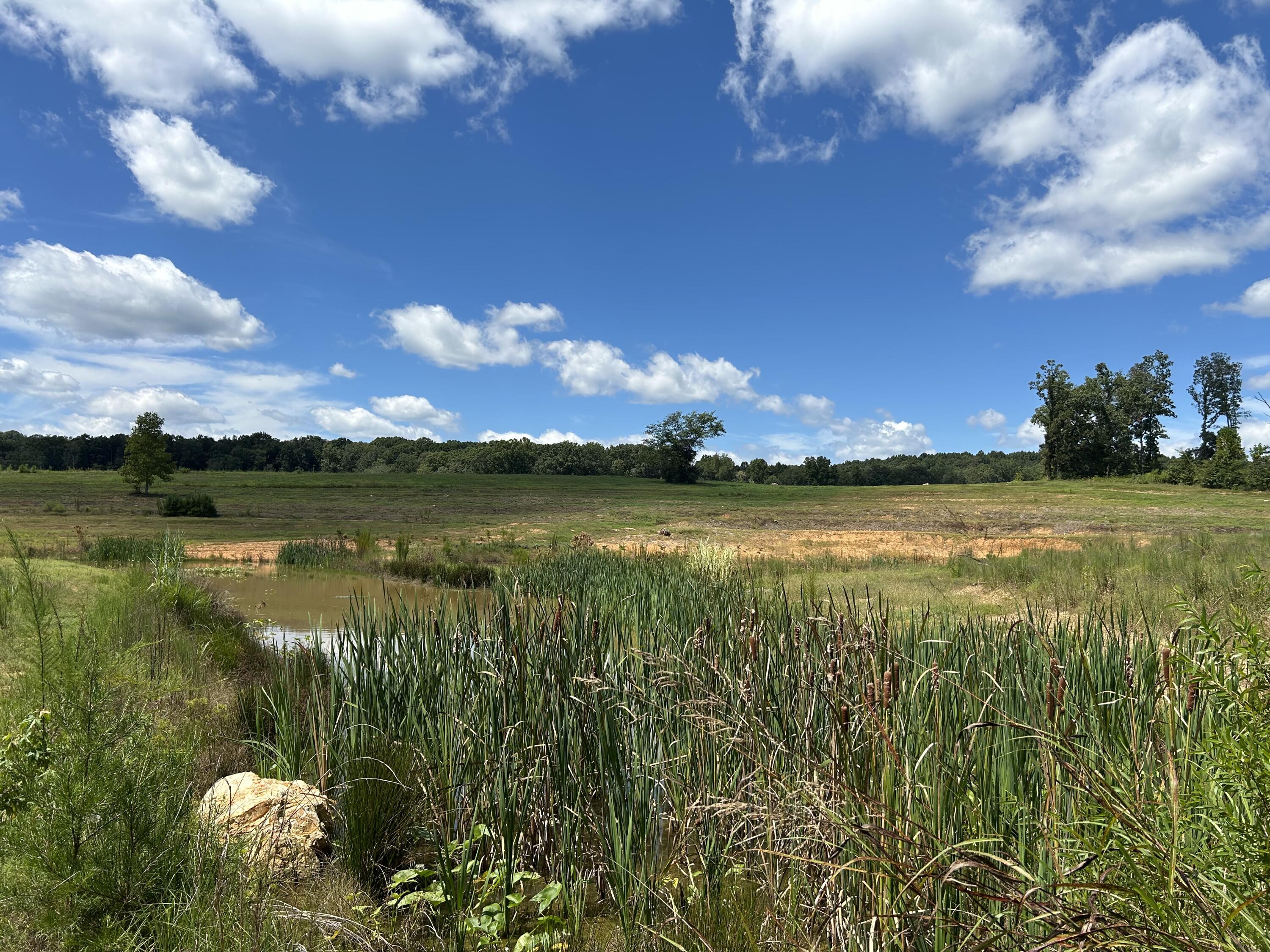 353 County Road 170 Athens, TN 37303 - Photo 9 of 10 IMG_3788