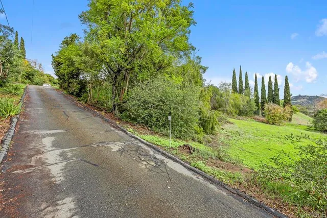 a view of a garden with plants