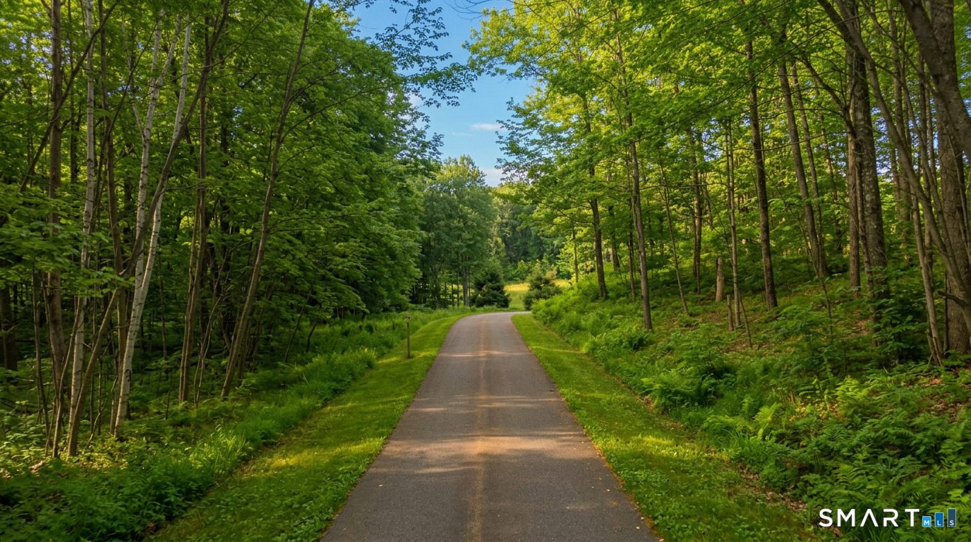 1729 Litchfield Road Watertown, CT 06795 - Photo 2 of 39 a view of a pathway of a park