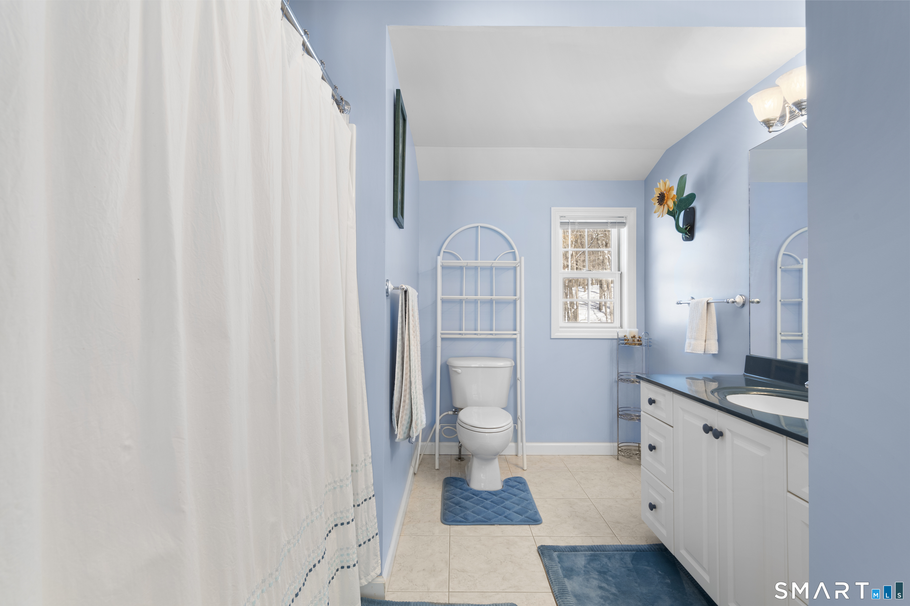 1729 Litchfield Road Watertown, CT 06795 - Photo 23 of 39 a spacious bathroom with a sink a toilet and a mirror