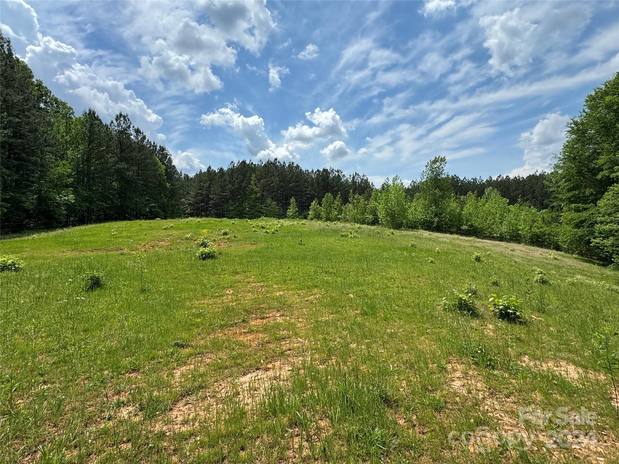 369 Pitts Road Catawba, SC 29704 - Photo 8 of 43 Gallery Image 8