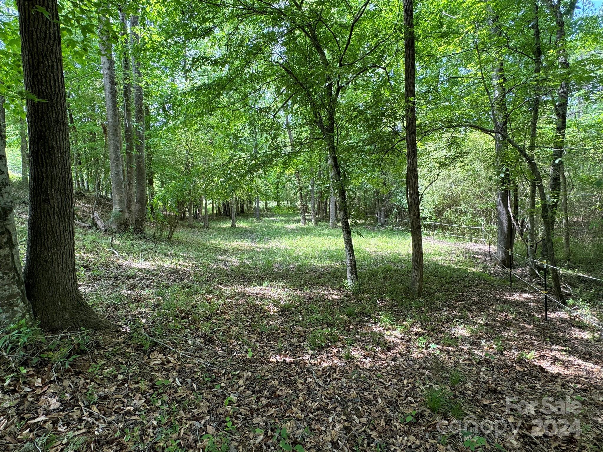369 Pitts Road Catawba, SC 29704 - Photo 10 of 43 Gallery Image 10