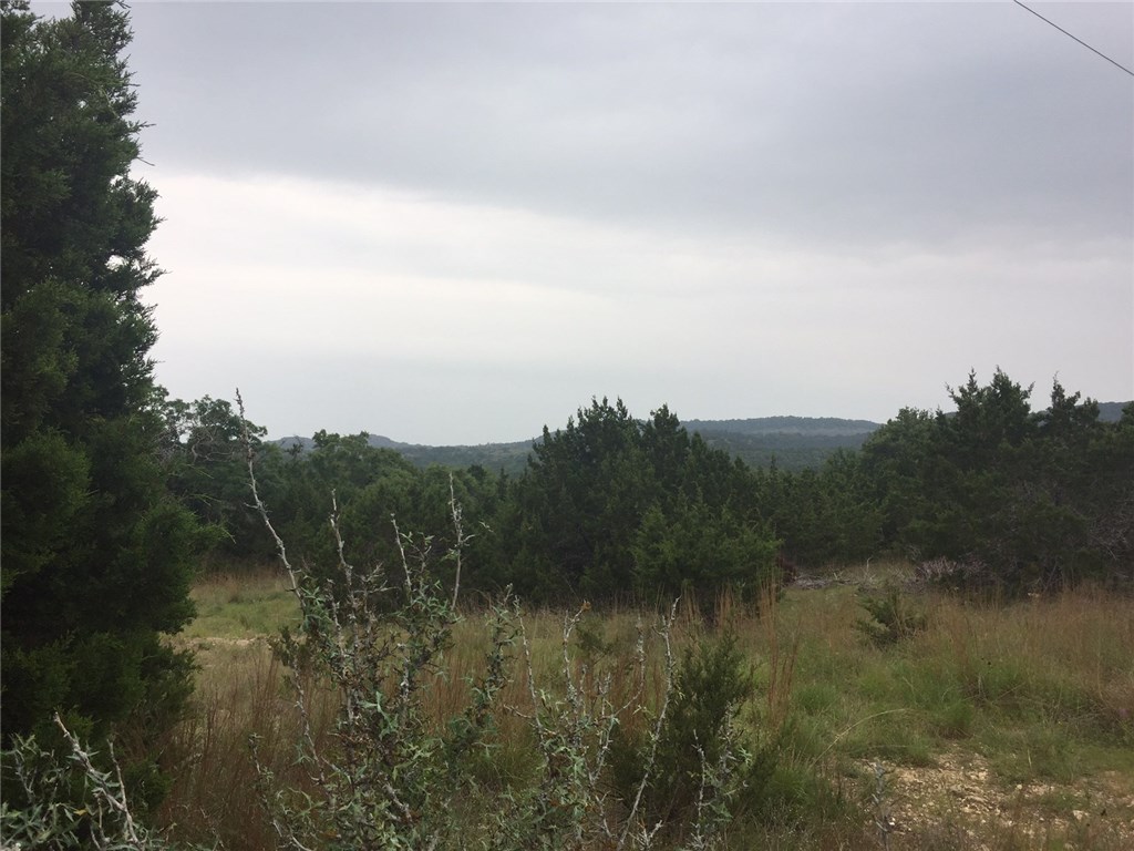 1297 Hidden Valley Ranch Road Johnson City, TX 78636 - Photo 1 of 1 Gallery Image 1
