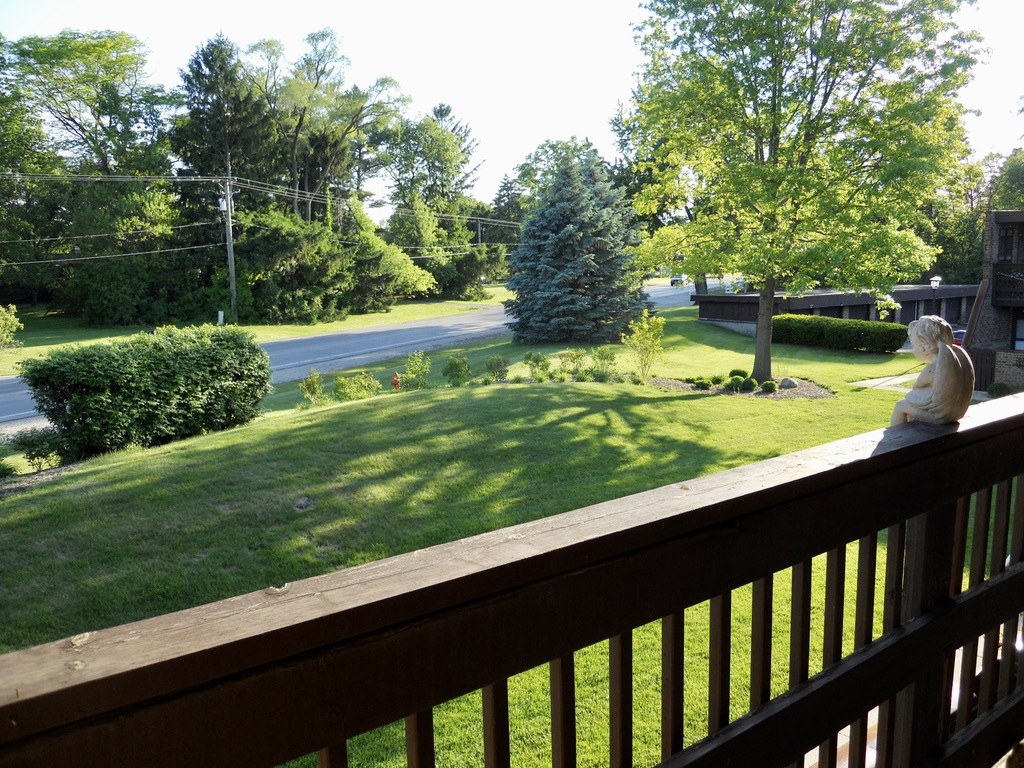 108 Kenneth Circle Elgin, IL 60120 - Photo 17 of 28 a view of swimming pool from a balcony