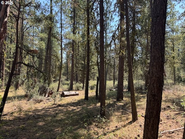Whitetail Lane Sprague River, OR 97639 - Photo 23 of 27 Gallery Image 23