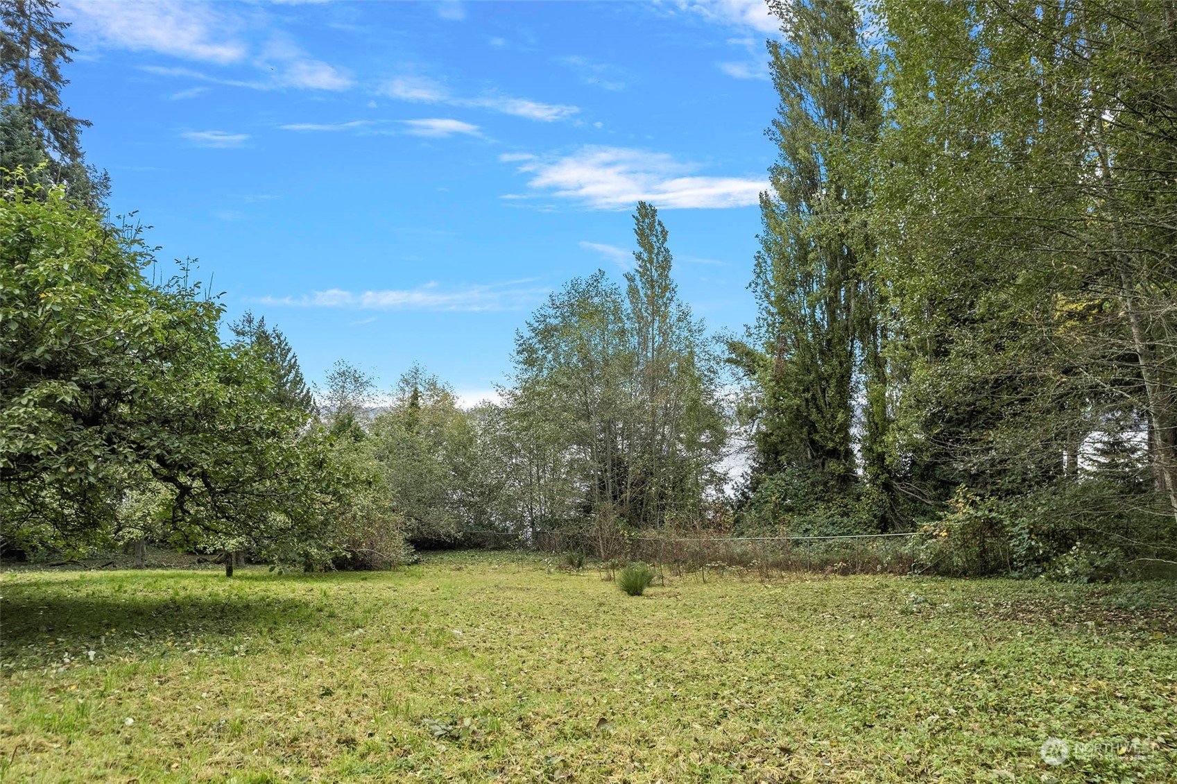 4865 Saratoga Road Langley, WA 98260 - Photo 38 of 40 a view of a field with an trees