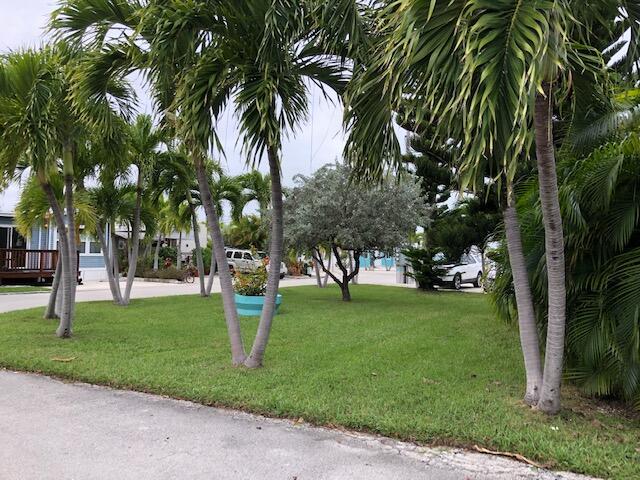 55 Boca Chica Road, Unit 132 Key West, FL 33040 - Photo 29 of 54 a view of a garden with palm trees