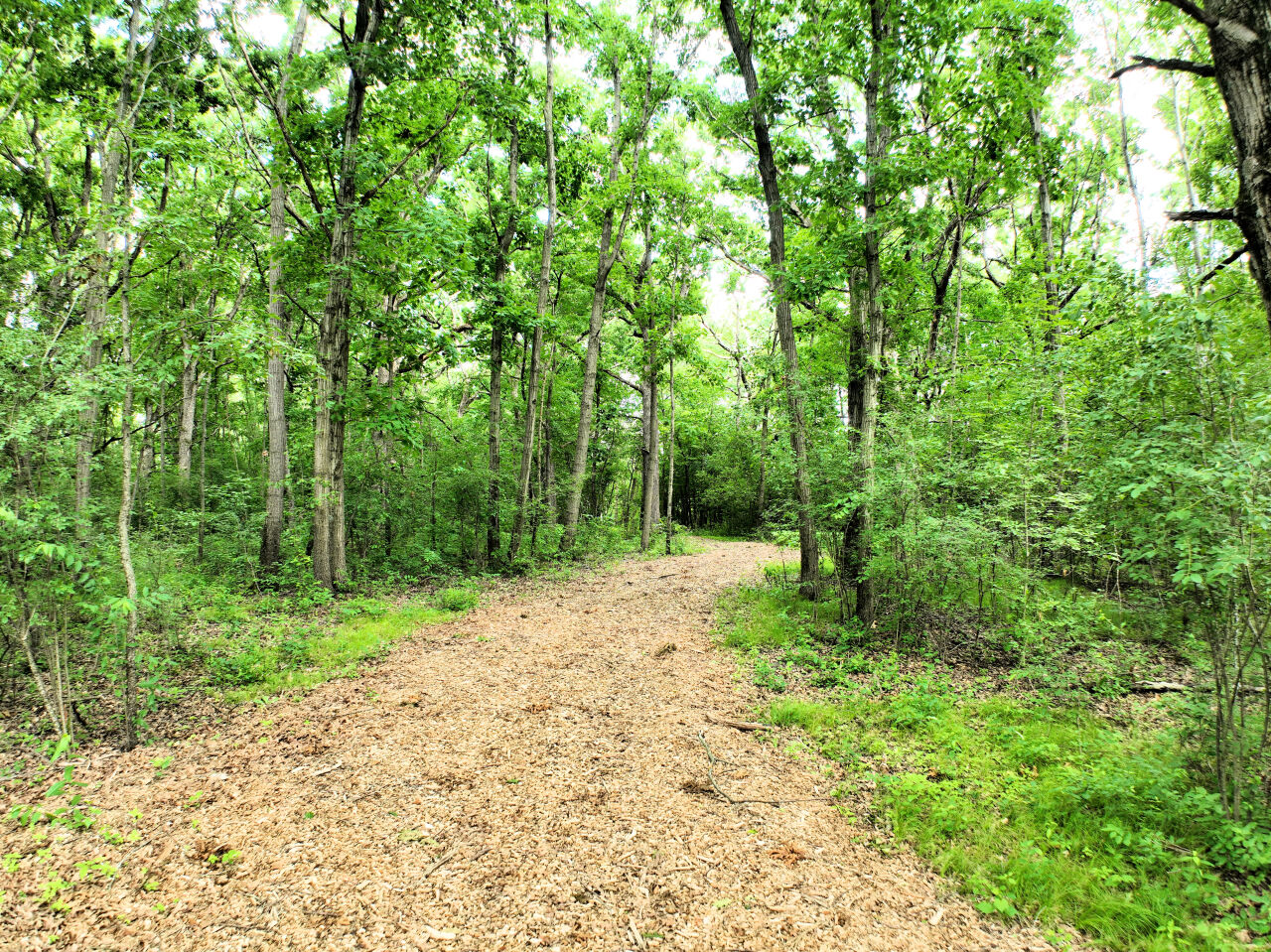 Lt1 Oak Knoll Road Rochester, WI 53105 - Photo 20 of 43 Photo 17