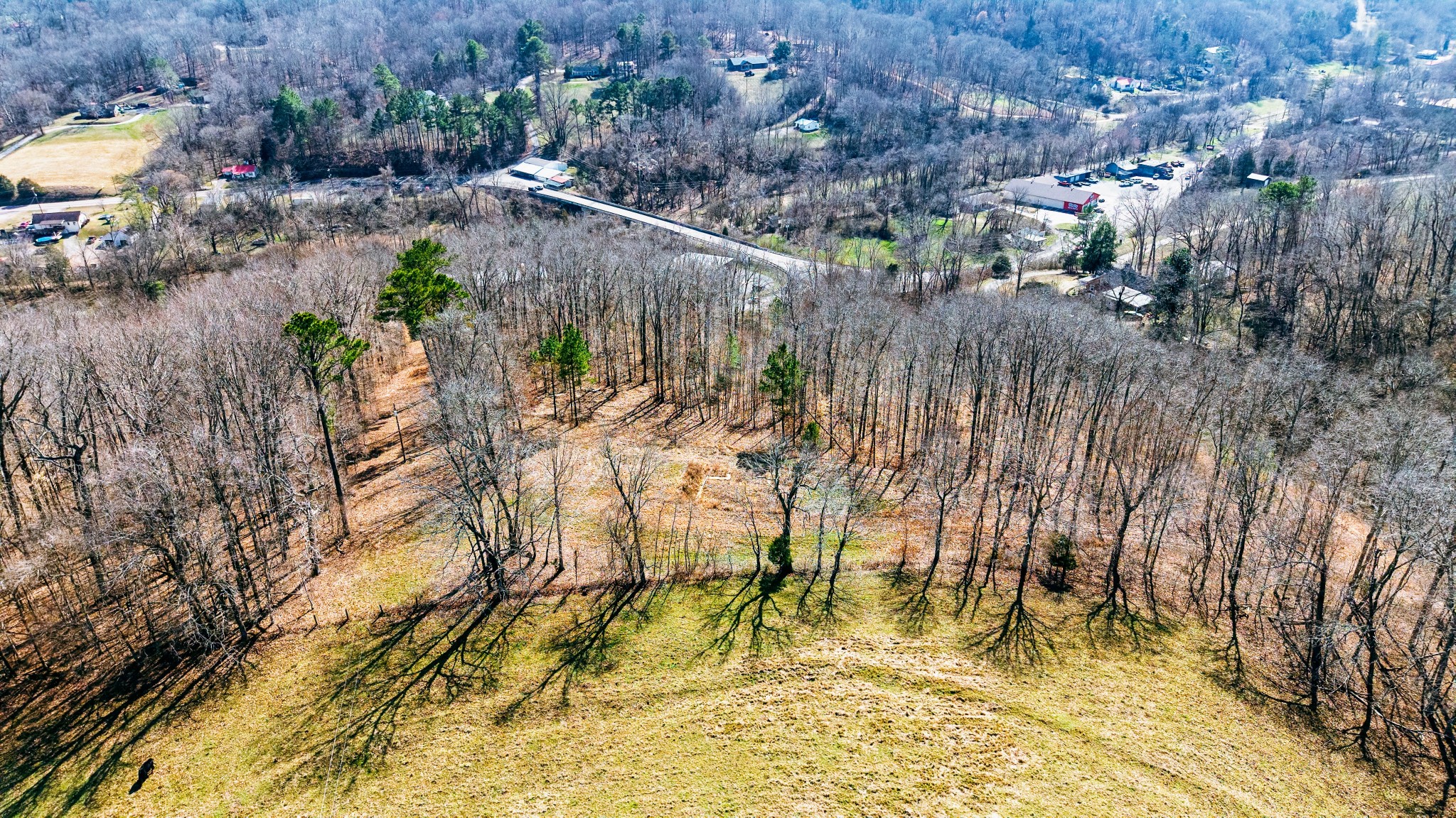 39 Old Highway Erin, TN 37061 - Photo 2 of 8