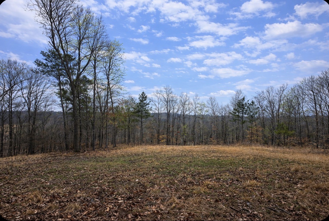 39 Old Highway Erin, TN 37061 - Photo 4 of 8