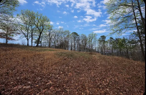 $99,000 | 39 Old Highway, Erin, TN 37061