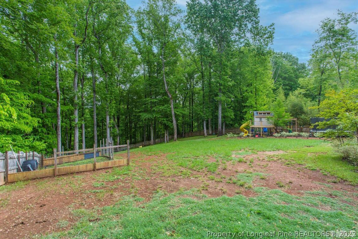3741 Norman Blalock Road Willow Spring, NC 27592 - Photo 23 of 76 Gallery Image 23