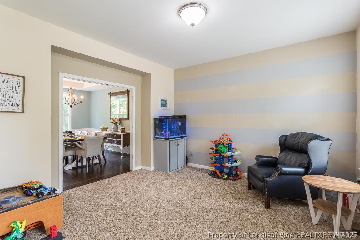 3741 Norman Blalock Road Willow Spring, NC 27592 - Photo 36 of 76 Gallery Image 36