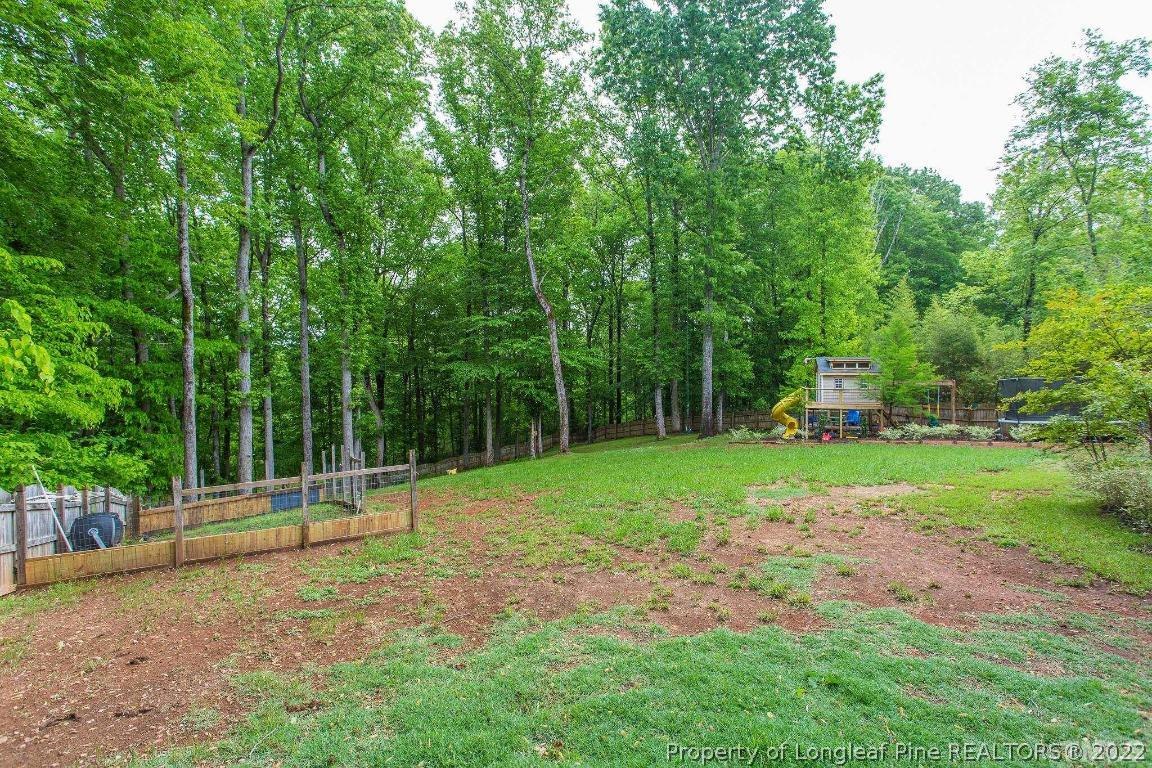 3741 Norman Blalock Road Willow Spring, NC 27592 - Photo 76 of 76 Gallery Image 76