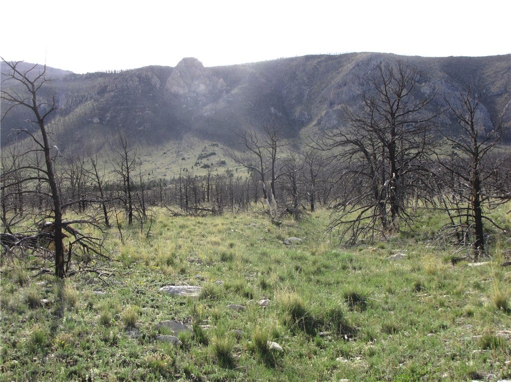 Tbd Tbd Ranger Way Red Lodge, MT 59068 - Photo 15 of 37 Gallery Image 15