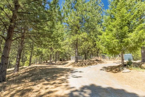 a view of a house with a tree