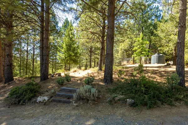 a view of a yard covered with snow in the yard