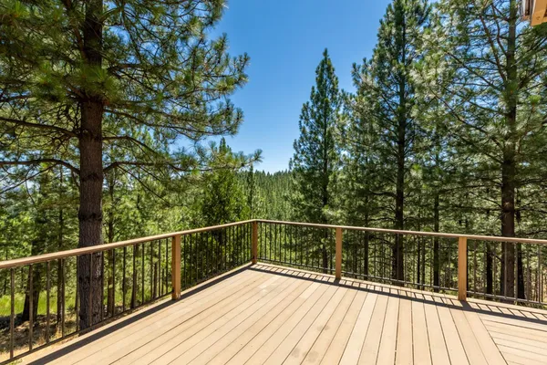 a view of backyard with a tree