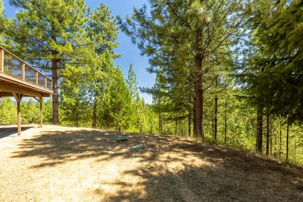 a view of a white house with large trees