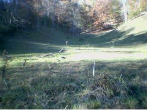 2 Rt Duffield, VA 24244 - Photo 3 of 6 Photo 3