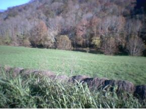 2 Rt Duffield, VA 24244 - Photo 5 of 6 Photo 5