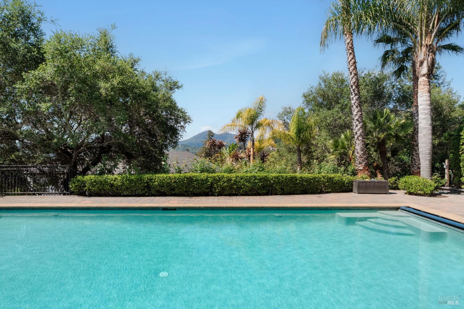 21 Newhall Drive San Rafael, CA 94901 - Photo 49 of 69 a view of a yard