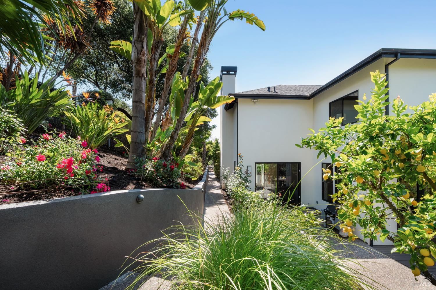 21 Newhall Drive San Rafael, CA 94901 - Photo 52 of 69 a view of a house with a backyard and a garden