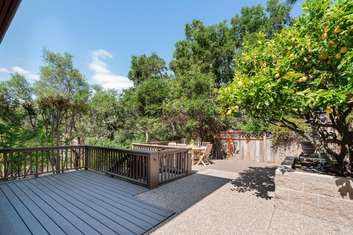21 Newhall Drive San Rafael, CA 94901 - Photo 55 of 69
