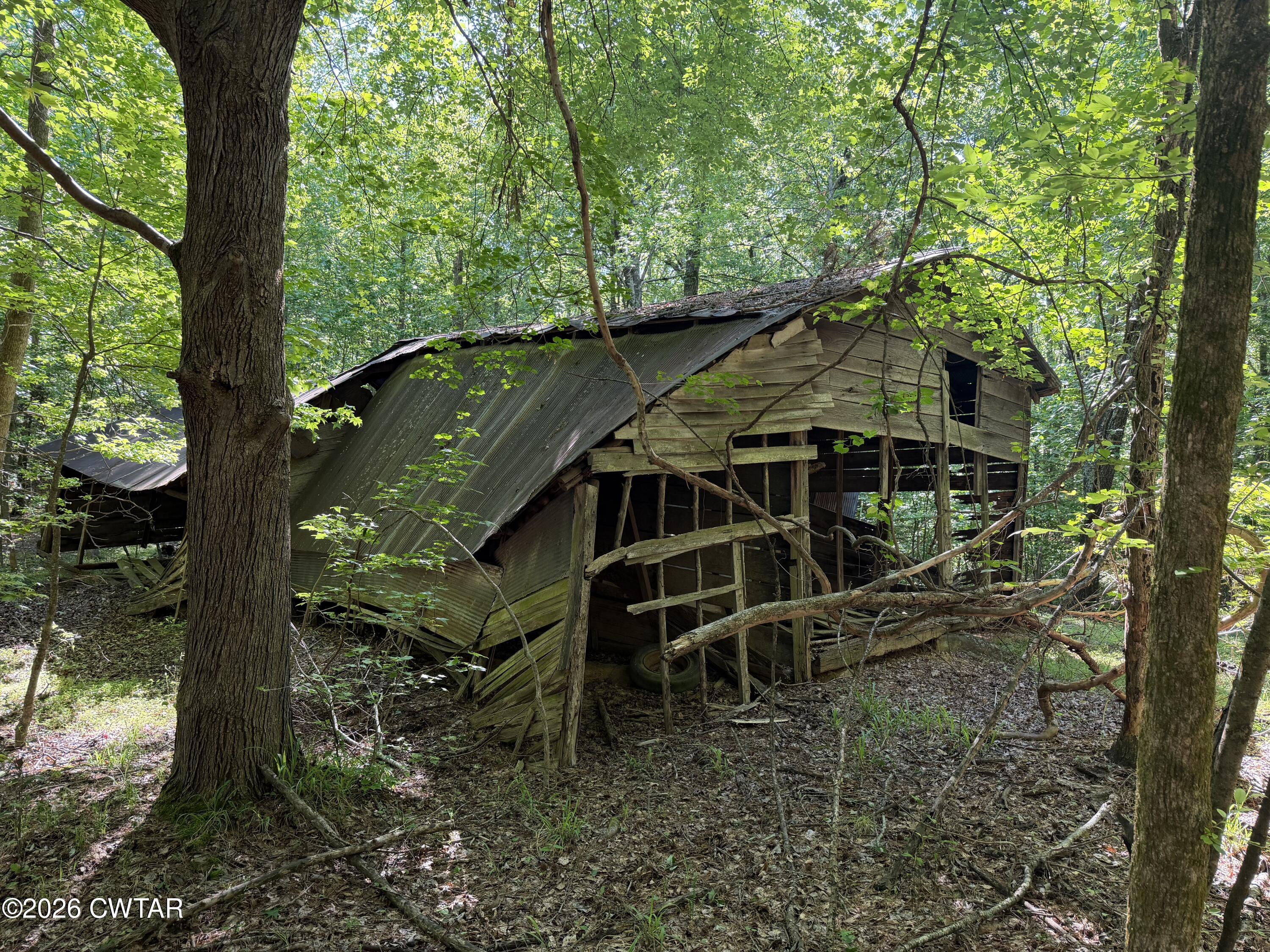 214 Authur Byrd Road Pocahontas, TN 38061 - Photo 4 of 11 IMG_0467