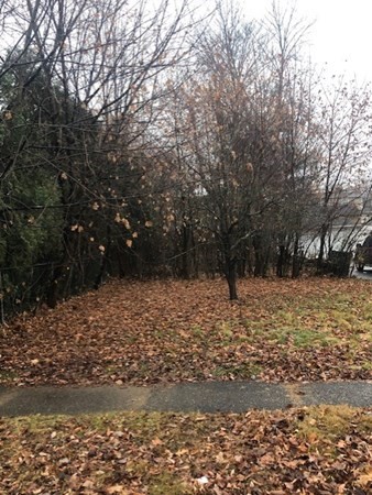 184 Winton Street Springfield, MA 01118 - Photo 12 of 12 Gallery Image 12
