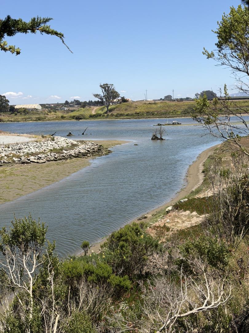 73 Pelican Point Watsonville, CA 95076 - Photo 24 of 24