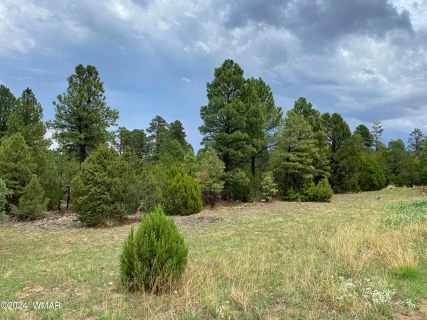 $75,000 | 2026 Highway 277, Overgaard, AZ 85933