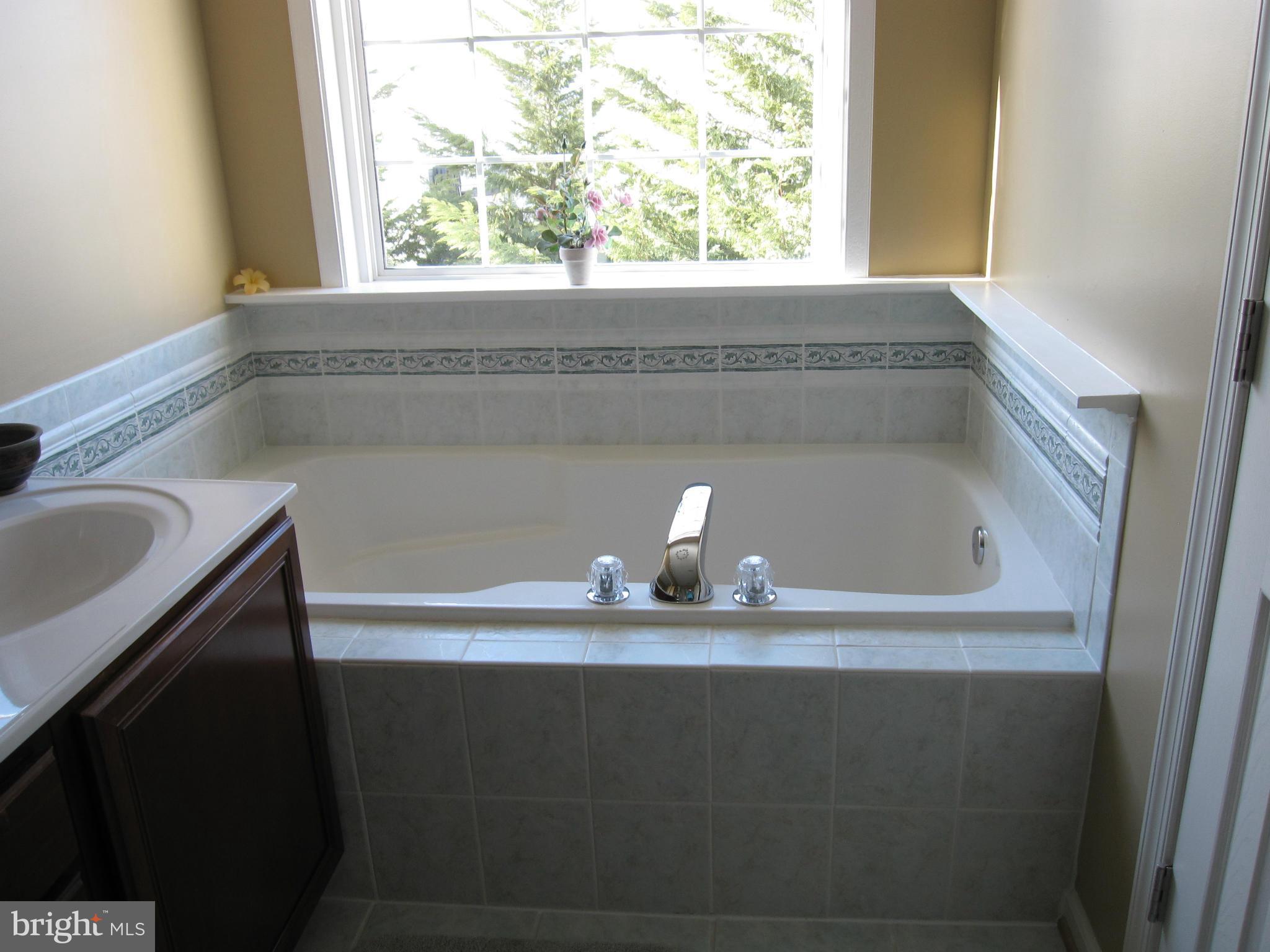 14027 Rockingham Road Germantown, MD 20874 - Photo 18 of 30 Bath (Master)