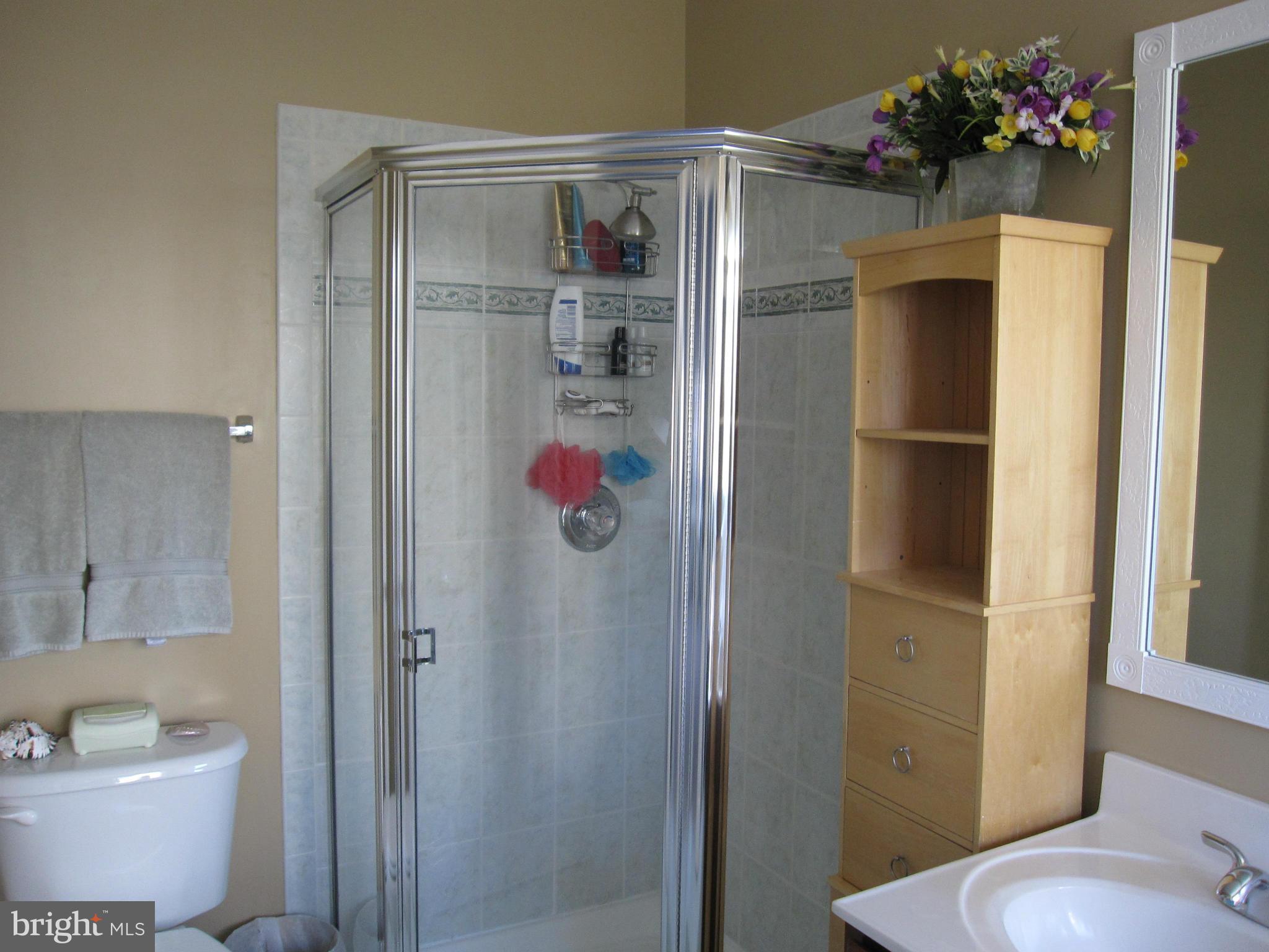 14027 Rockingham Road Germantown, MD 20874 - Photo 19 of 30 Bath (Master)