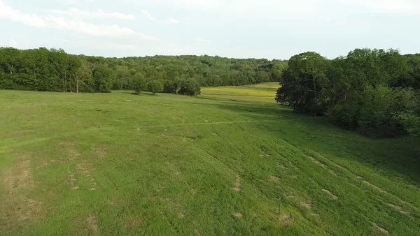 a view of a lush green space with sea