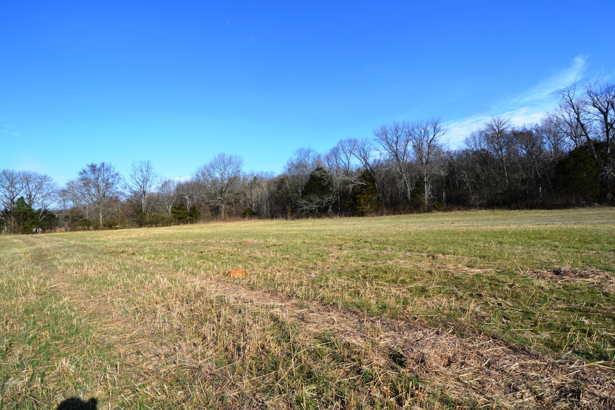 1 Corinth Road Mount Juliet, TN 37122 - Photo 53 of 77