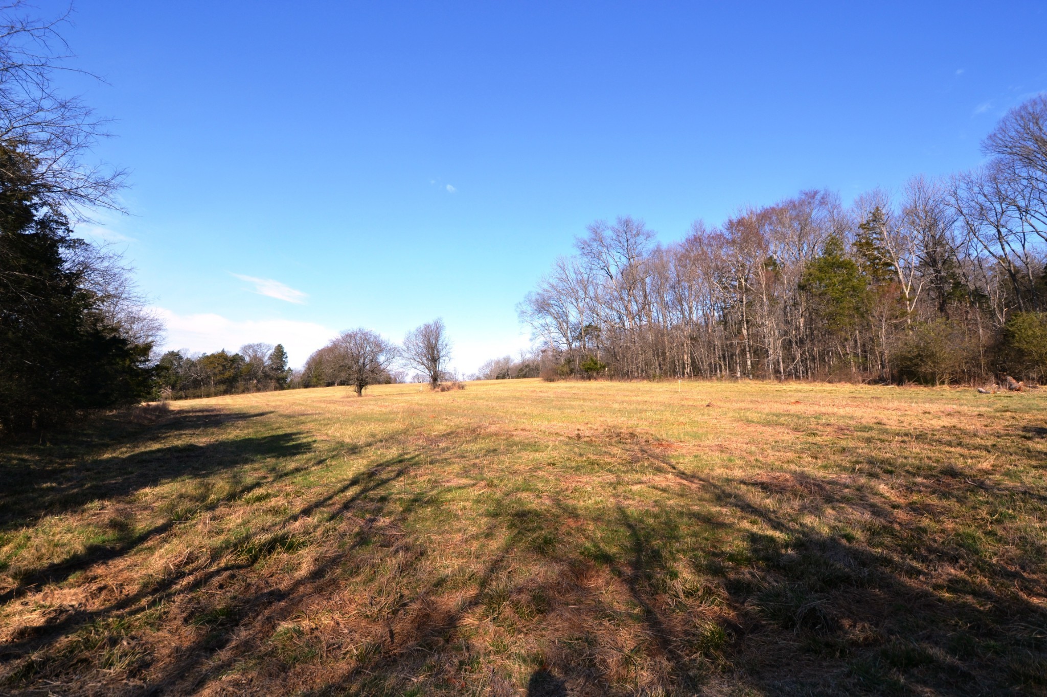 1 Corinth Road Mount Juliet, TN 37122 - Photo 63 of 77