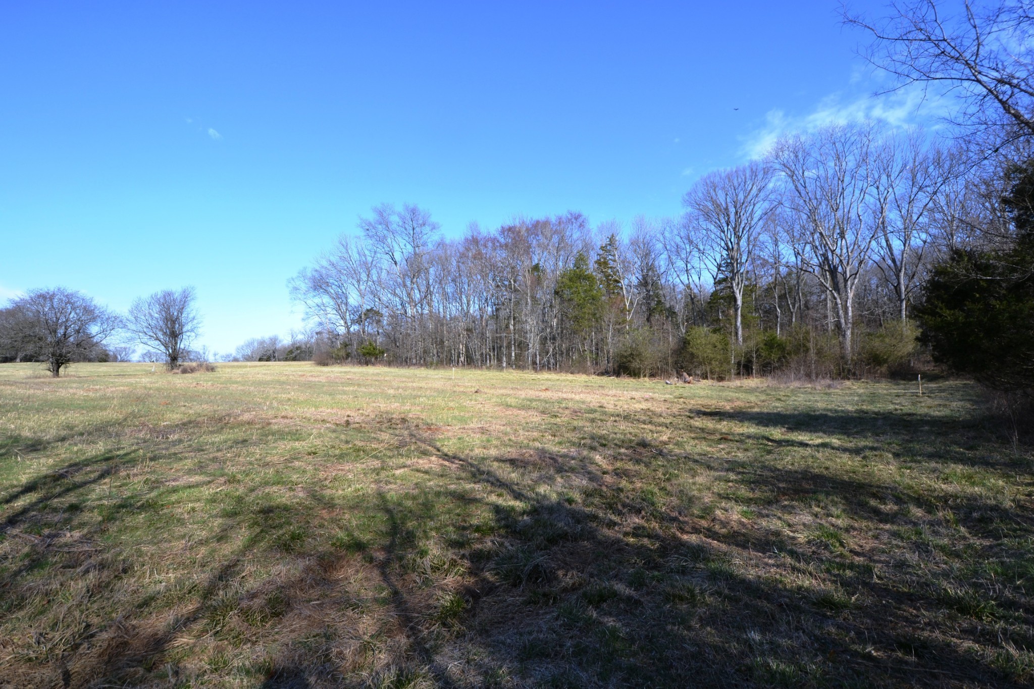 1 Corinth Road Mount Juliet, TN 37122 - Photo 66 of 77