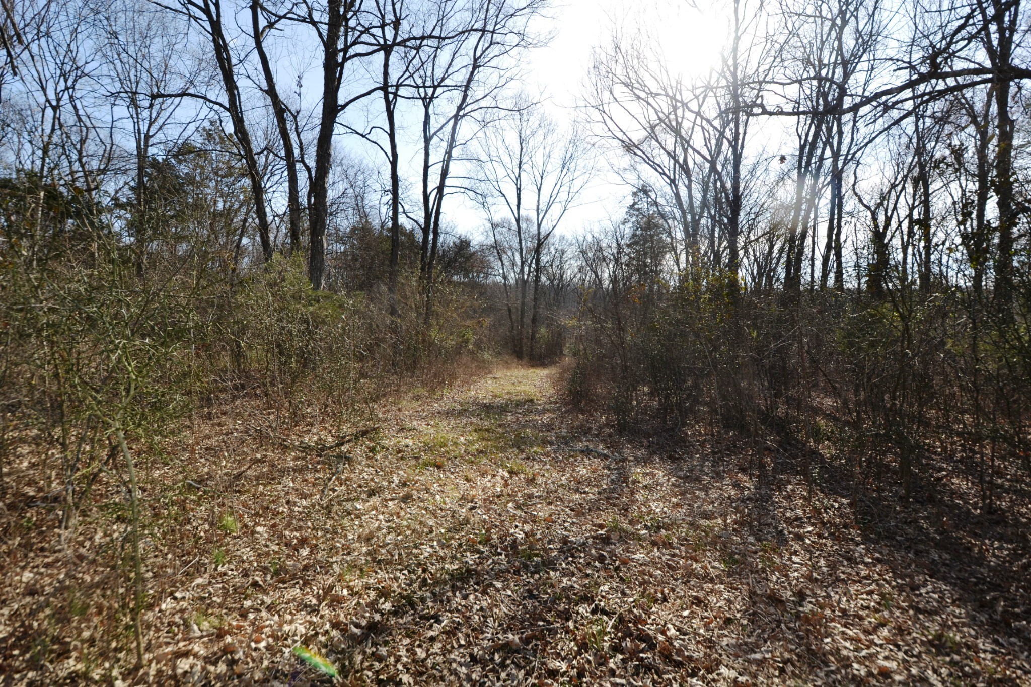 1 Corinth Road Mount Juliet, TN 37122 - Photo 70 of 77